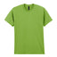 Heavy Cotton™ adult t-shirt