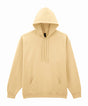 Softstyle™ midweight fleece adult hoodie