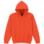 Heavy Blend™ youth hooded sweatshirt