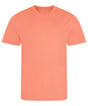 Cool T