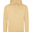 College hoodie