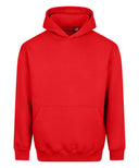 Vision heavyweight hoodie