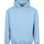 Vision heavyweight hoodie