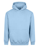Vision heavyweight hoodie