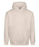 Vision heavyweight hoodie