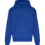 Signature heavyweight hoodie