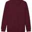 Kids AWDis sweatshirt