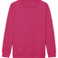 Kids AWDis sweatshirt