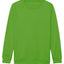 Kids AWDis sweatshirt