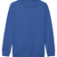 Kids AWDis sweatshirt