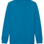Kids AWDis sweatshirt