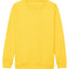 Kids AWDis sweatshirt