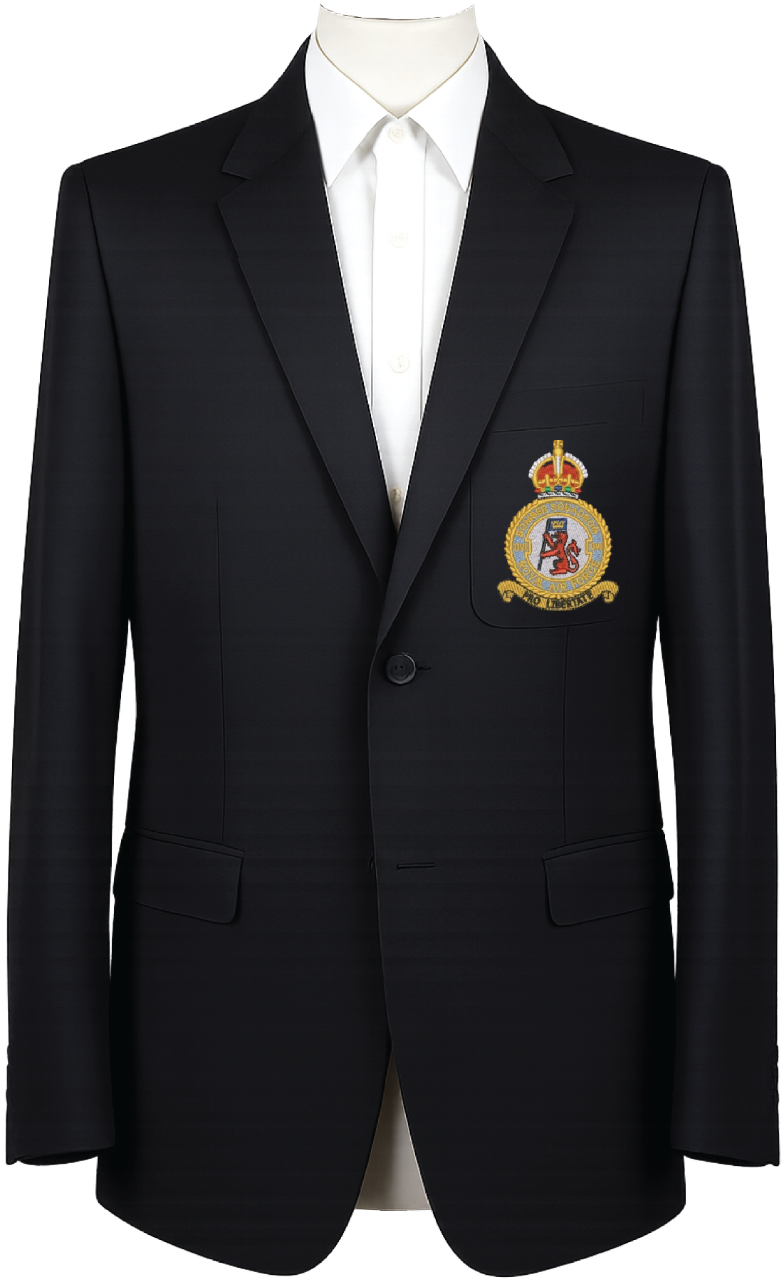 No. 106 Squadron RAF Blazer