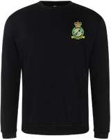 No. 16 Squadron RAF Sweatshirt