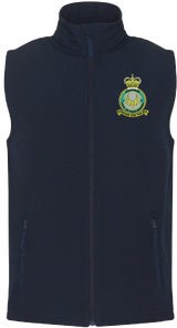 No. 2 Squadron RAF Gilet