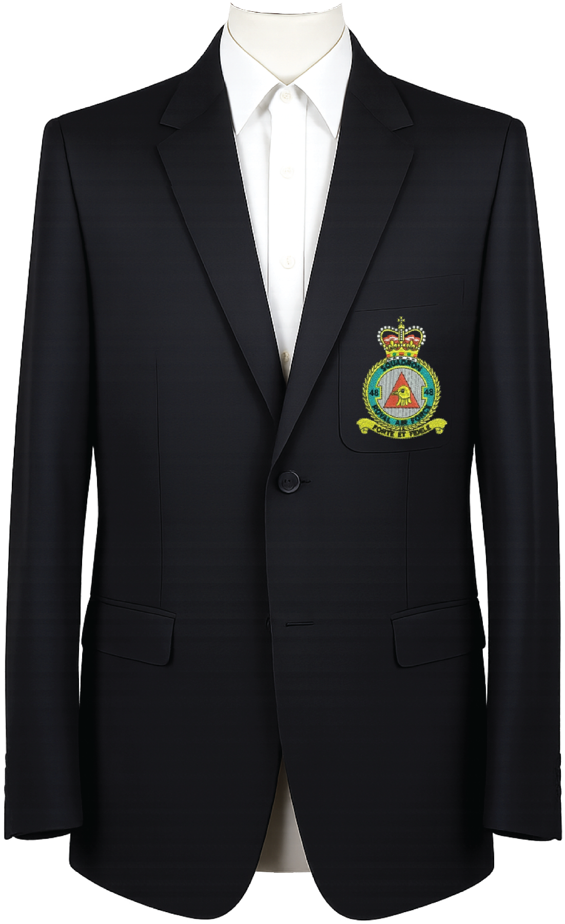 No. 48 Squadron RAF Blazer