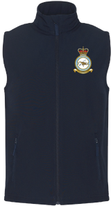 No. 51 Squadron RAF Regiment Gilet