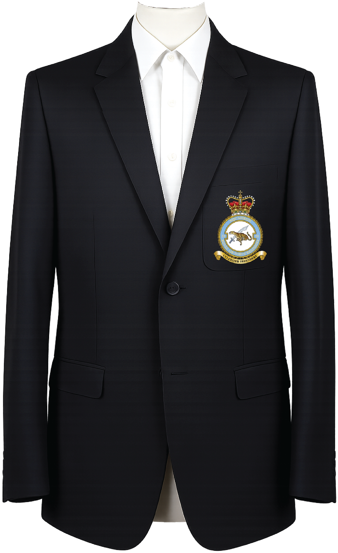 No. 51 Squadron RAF Regiment Blazer