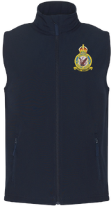 No. 6 Squadron RAF Gilet