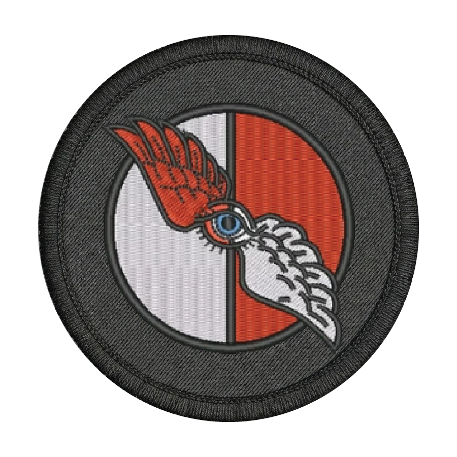 No. 7010 Squadron RAF Patch