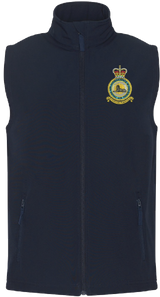 RAF Air Intelligence Wing Gilet