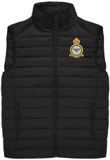 RAF Electromagnetic Warfare Test Padded Gilet