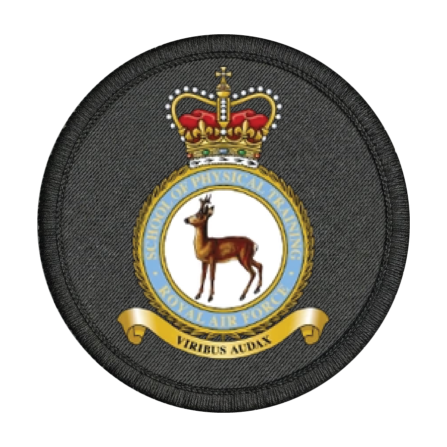 RAF School of Physical Training Patch