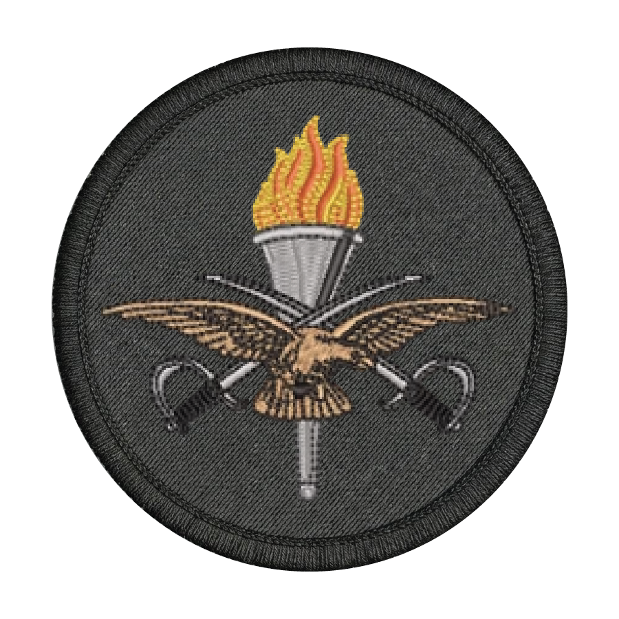 RAF Training Branch Patch