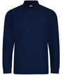 Pro long sleeve polo