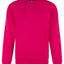 Pro sweatshirt