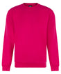 Pro sweatshirt