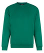 Pro sweatshirt