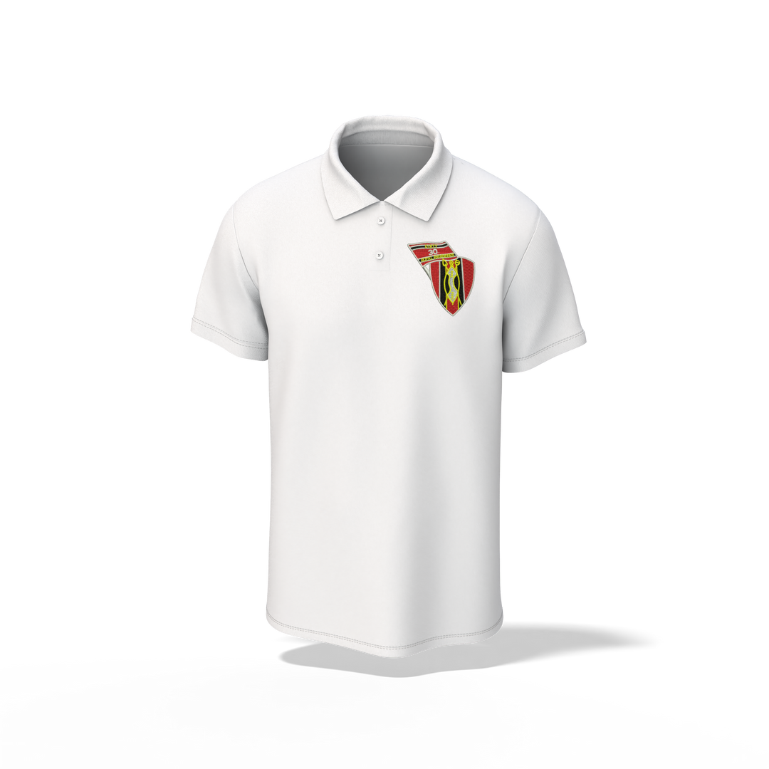 30 Pin Embroidered Polo Shirt
