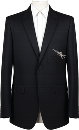 SEPECAT Jaguar Blazer