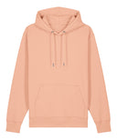 Unisex Cruiser 2.0 iconic hoodie sweatshirt