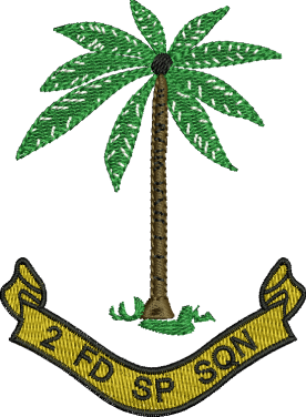 2 Field SP Sqn Embroidered Polo Shirt