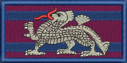 71 Sqn TRF