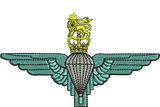 Airborne Forces Para Embroidered Polo Shirt