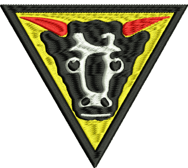 32 AER Embroidered Badge