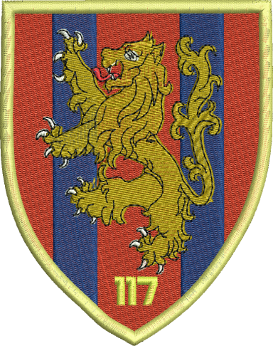 117 Embroidered Polo Shirt