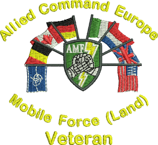 Allied Command (AMF) Embroidered T-Shirt