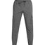 UA Vibe cargo pants 