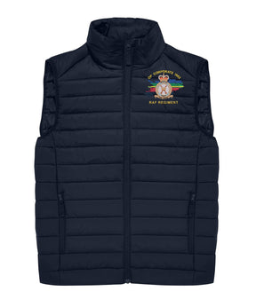 Op Corporate RAF Regiment Padded Gilet